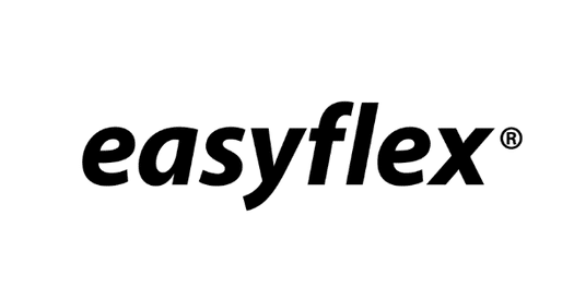 Easyflex logo - original